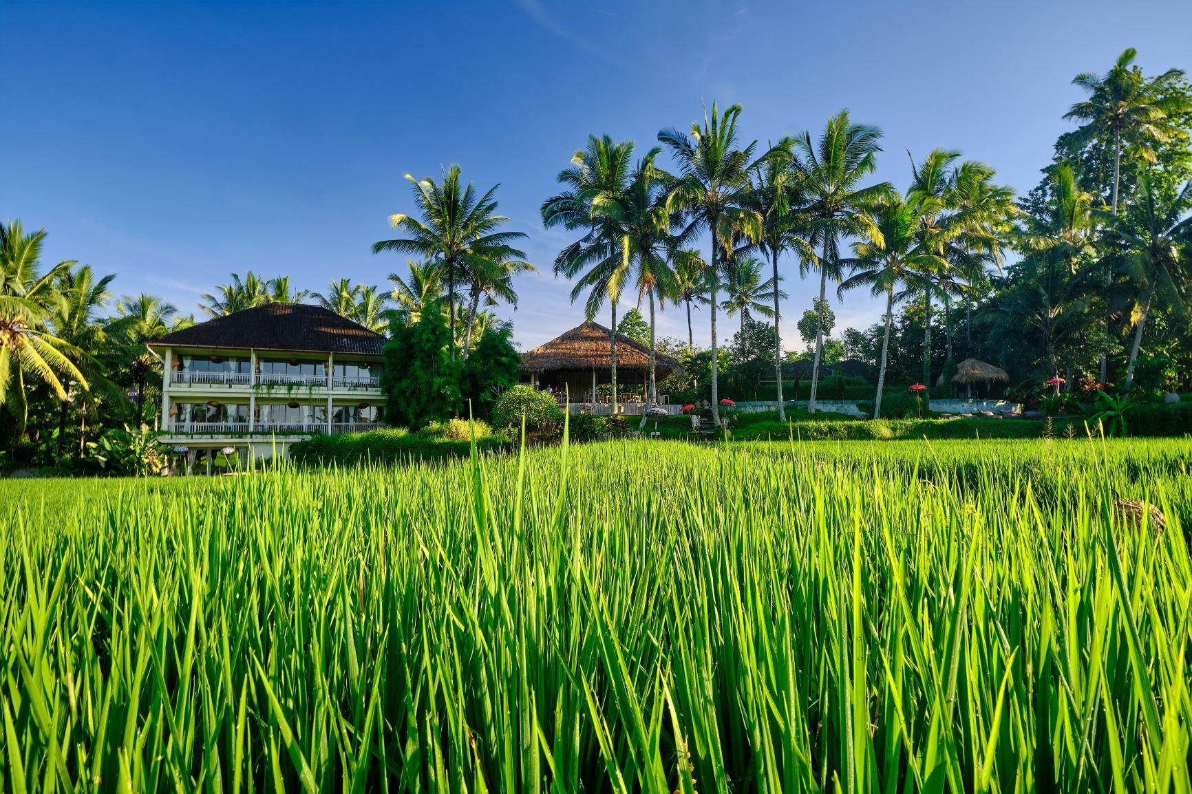 เมธิส รีทรีต Hotel อูบุด ภายนอก รูปภาพ