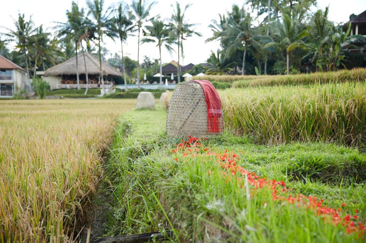 เมธิส รีทรีต Hotel อูบุด ภายนอก รูปภาพ